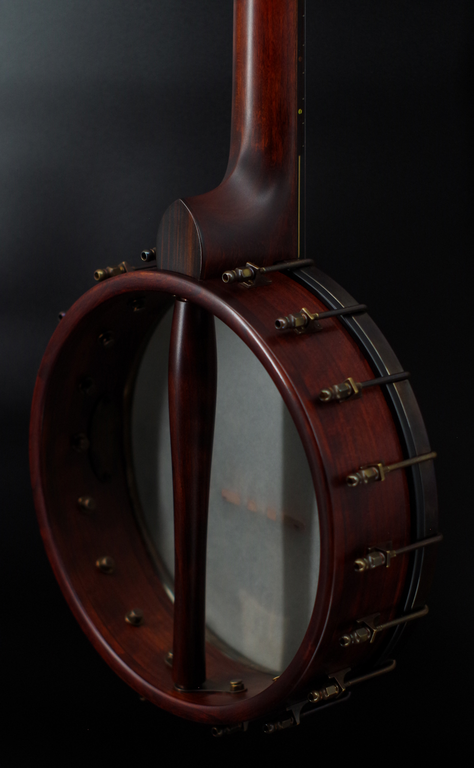 5-String Banjo for sale