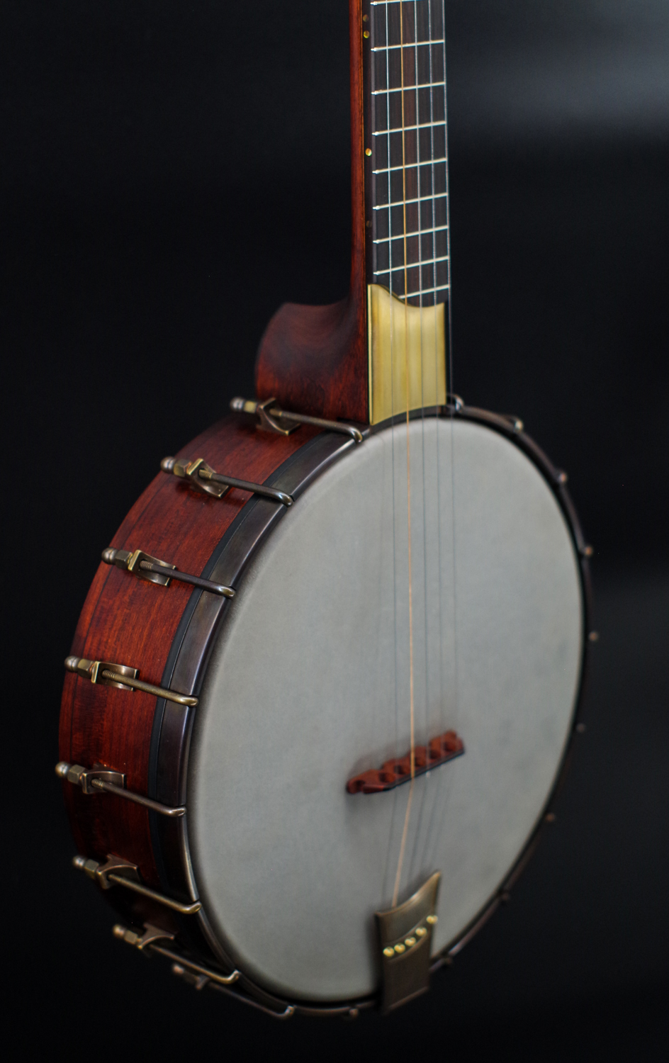 5-String Banjo for sale