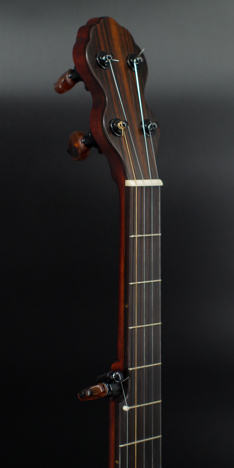 5-String Banjo for sale